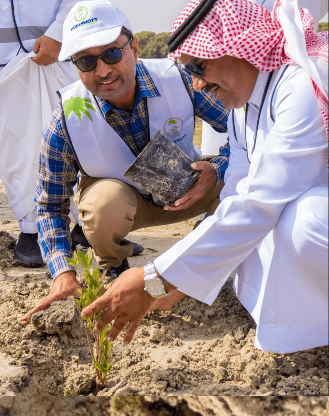 Sustainability-Image-2